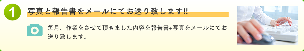 写真と報告書をメールにてお送り致します!!