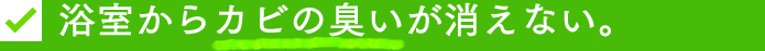 浴室からカビの臭いが消えない。